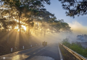 admiring the mysterious beauty of da lat in early winter